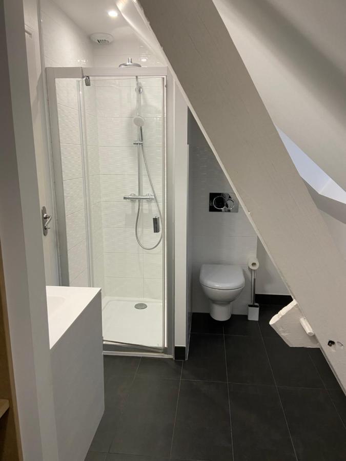 Appartement Du Chateau De La Caillerie Avoine Eksteriør billede